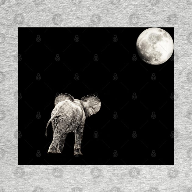 Monochrome | Black and White Series : Baby Elephant and the Moon by sanityfound